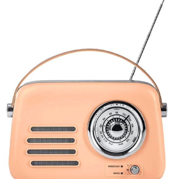 Haut parleur Portable Best Sound T10 Avec FM - Marron