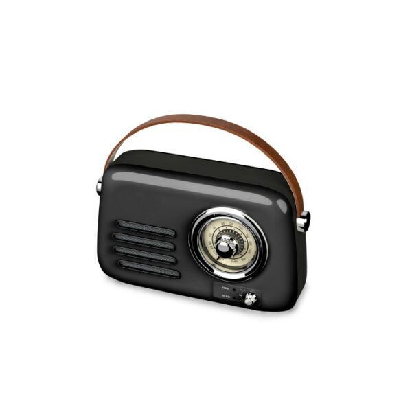 Haut parleur Portable Best Sound T10 Avec FM - Noir
