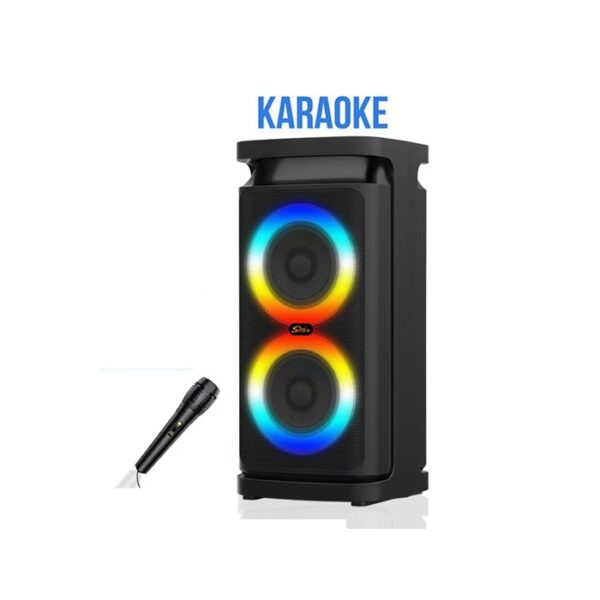 Haut Parleur Sans Fil ZQS 4297 Rechargeable