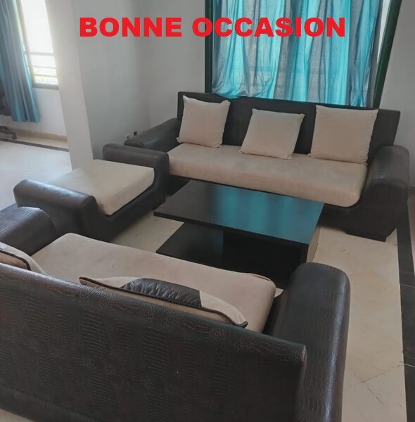 Salon de réception en très bon état